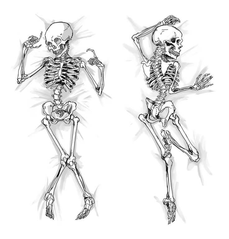 Skeleton Pose Reference 10