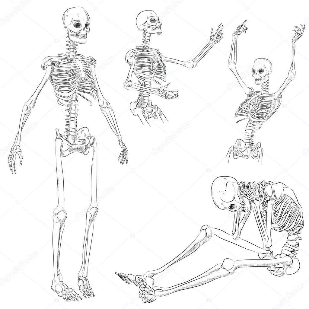 Skeleton Pose Reference 11
