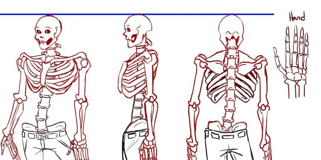 Skeleton Pose Reference 13