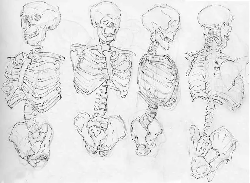 Skeleton Pose Reference 16