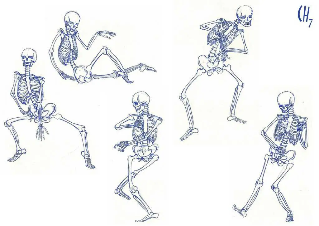 Skeleton Pose Reference 18