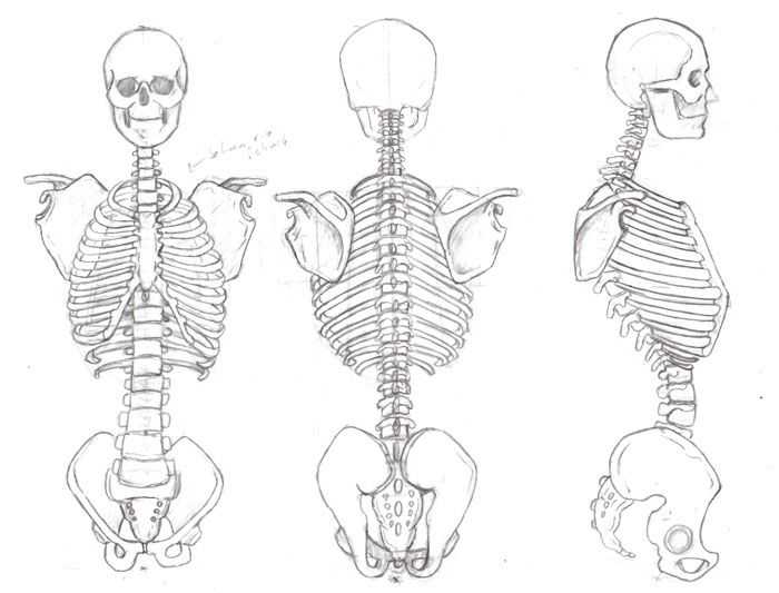 Skeleton Pose Reference 19