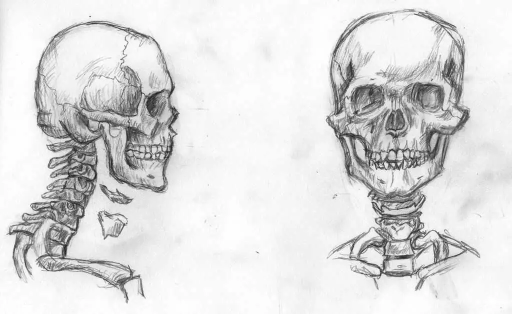 Skeleton Pose Reference 24