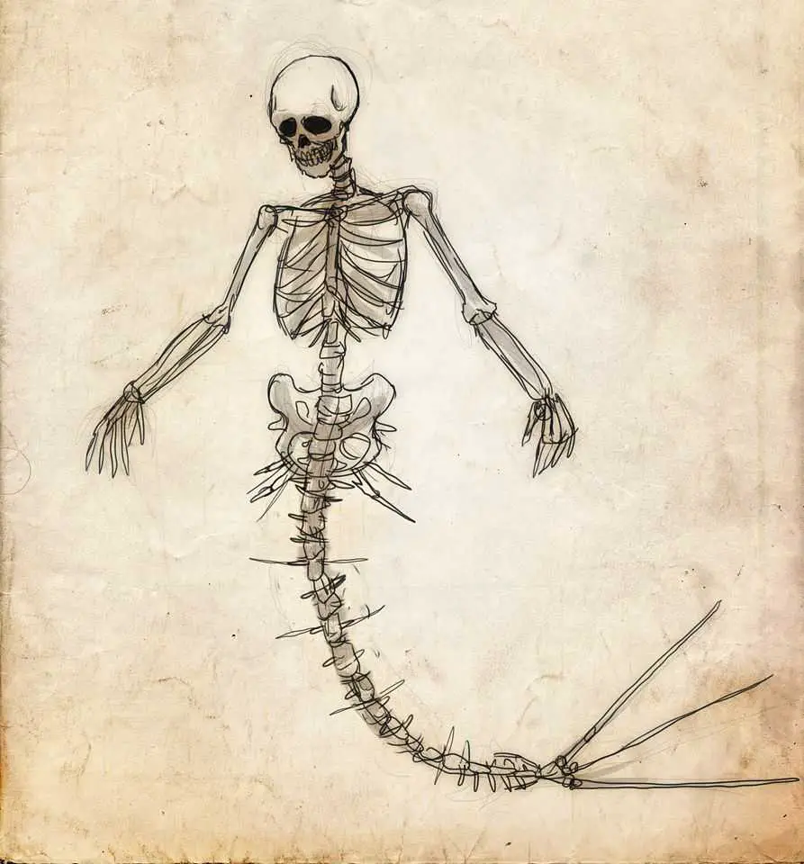 Skeleton Pose Reference 25