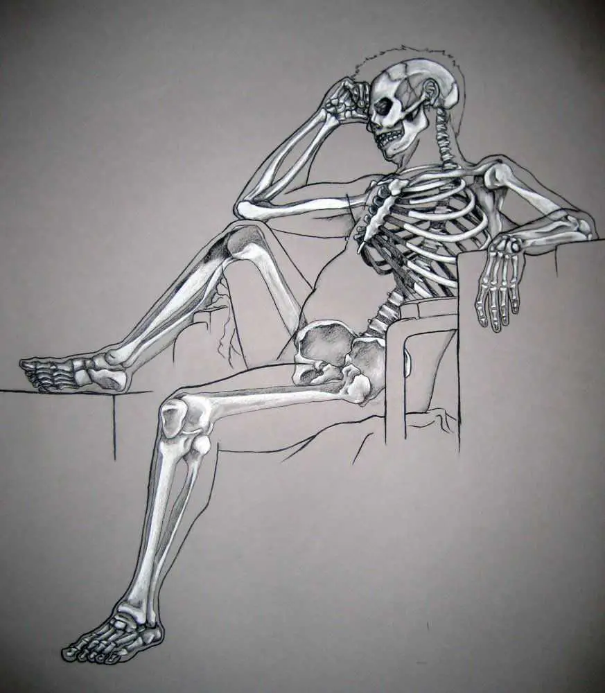 Skeleton Pose Reference 5