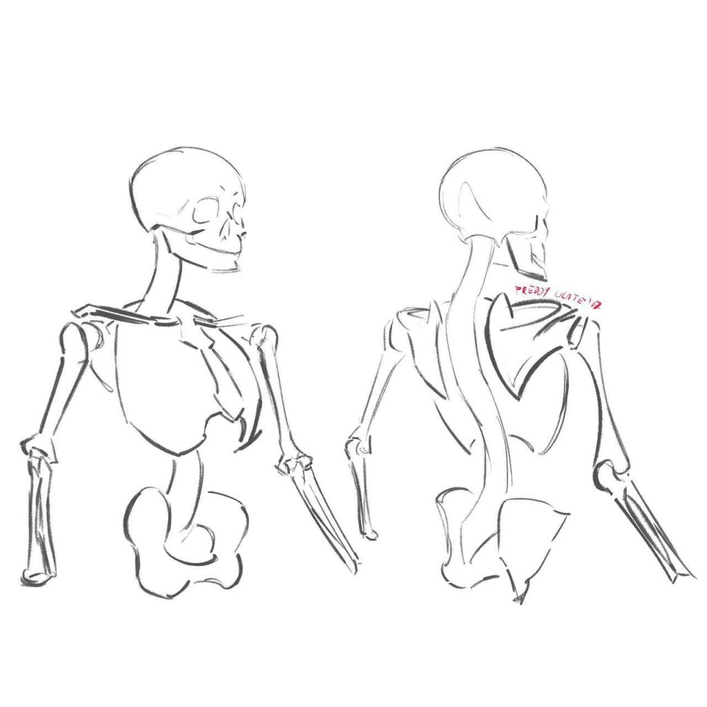 Skeleton Pose Reference 7