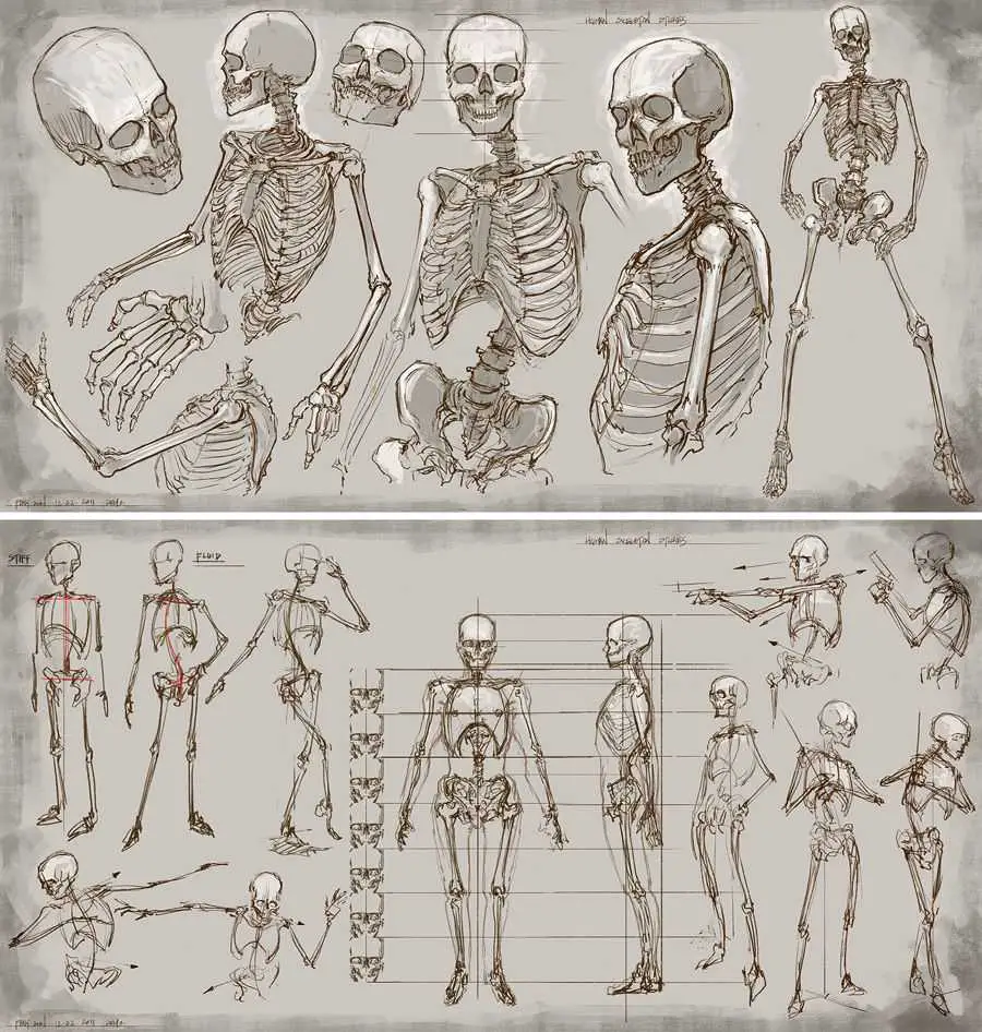 Skeleton Pose Reference 9