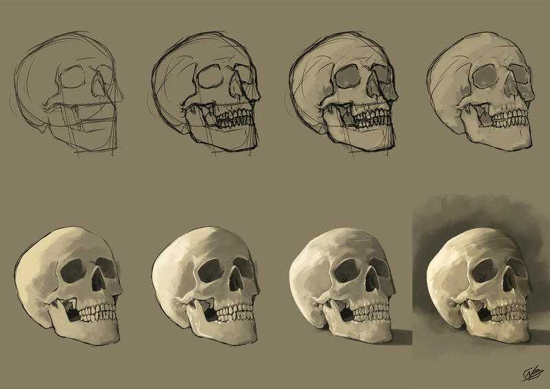 Skull Drawing Reference 6