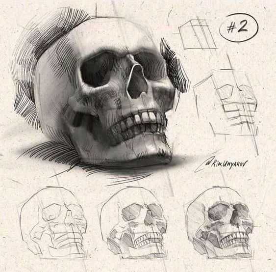 Skull Pose Reference 2