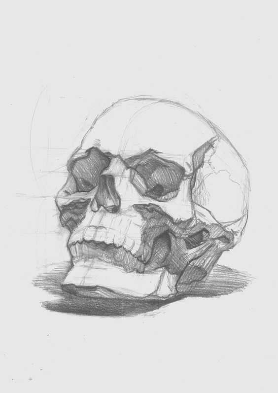 Skull Pose Reference 5