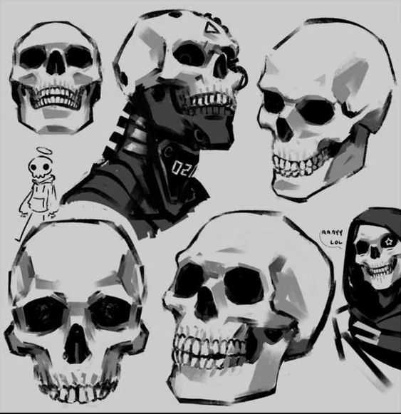 Skull Reference Side 2