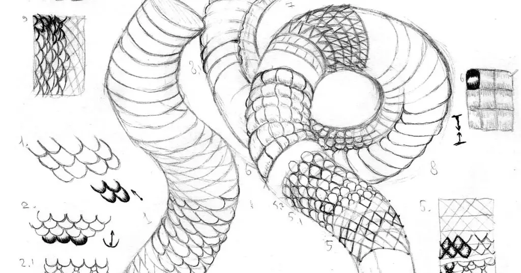 Snake Reference Drawing 16 1024x538