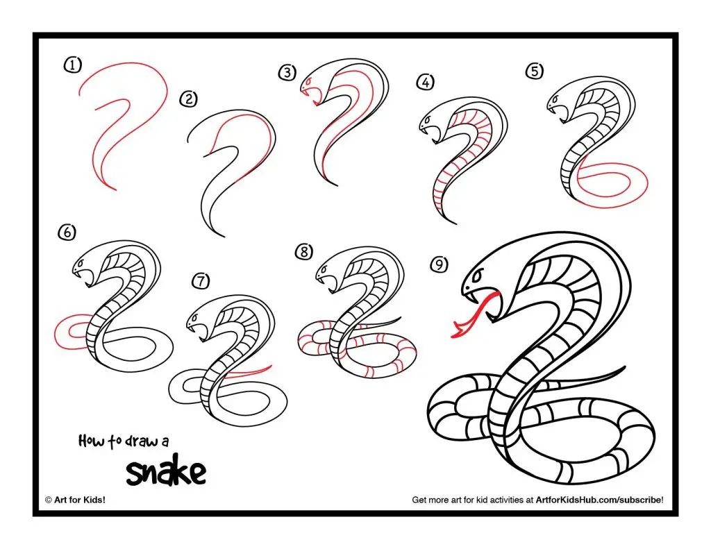 Snake Reference Drawing 21 1024x791