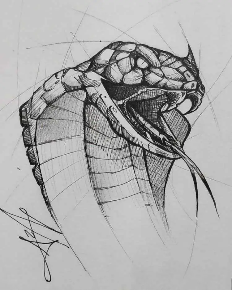 Snake Reference Drawing 26