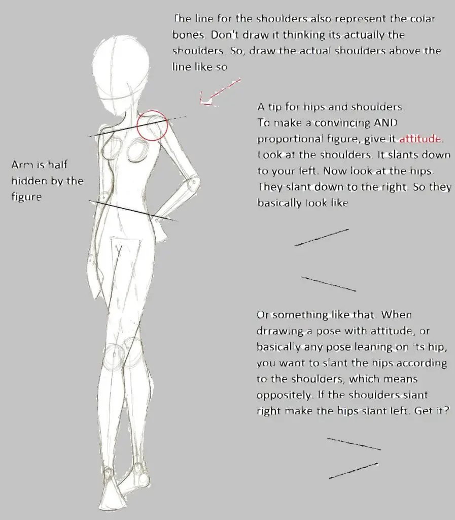 Standing Pose Reference Standing Pose Drawing Reference Standing Pose Art Reference Standing Drawing Reference 13 897x1024