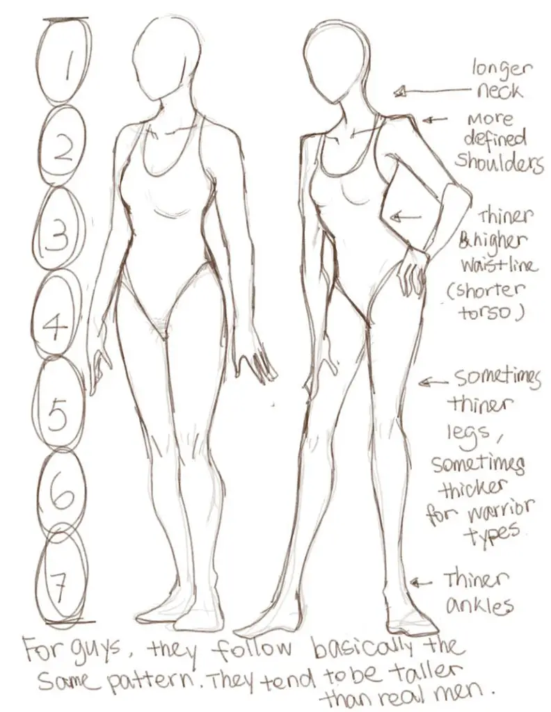 Swimsuit Drawing Reference 6 792x1024