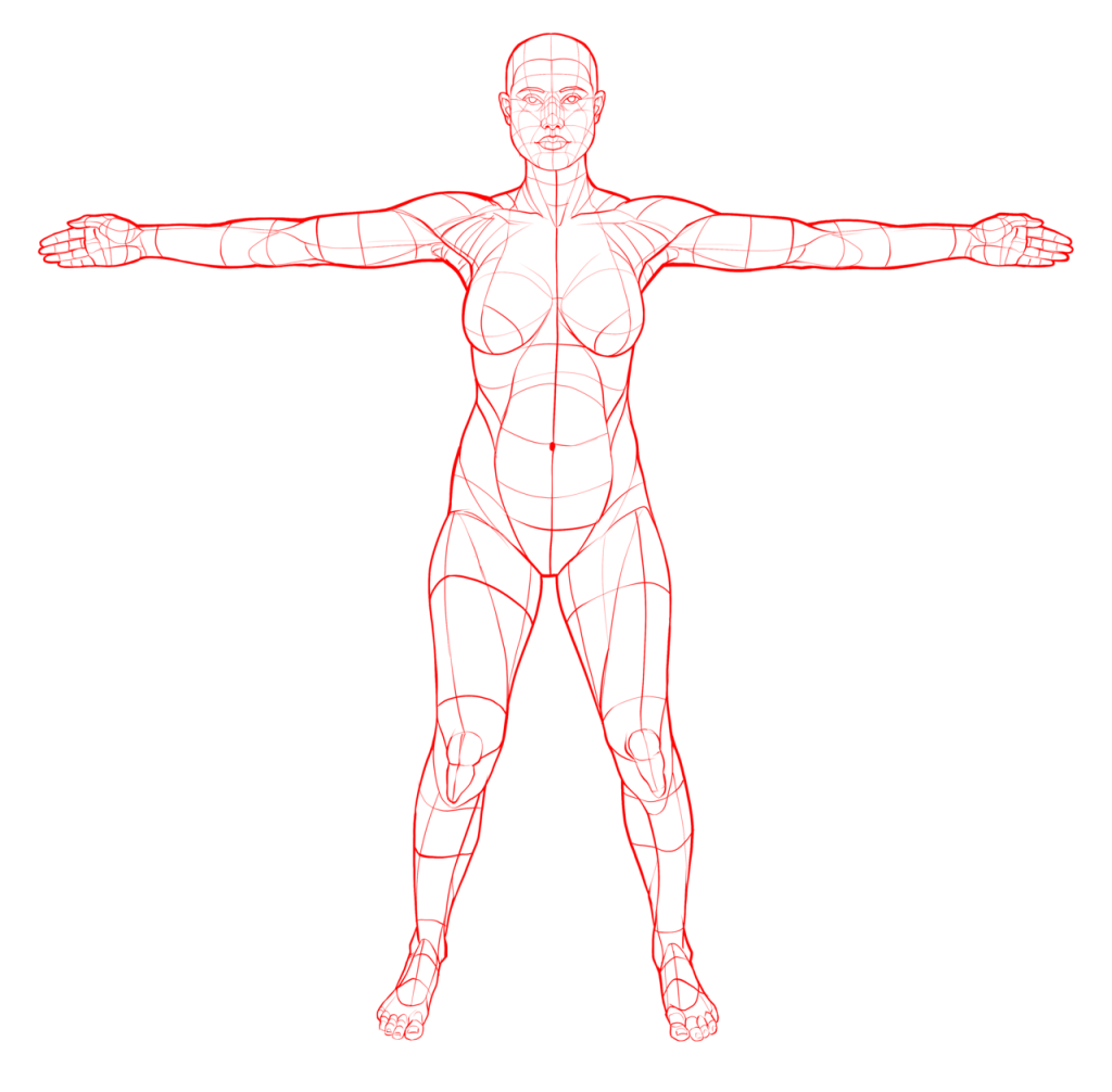 T Pose Reference 2 1024x1006