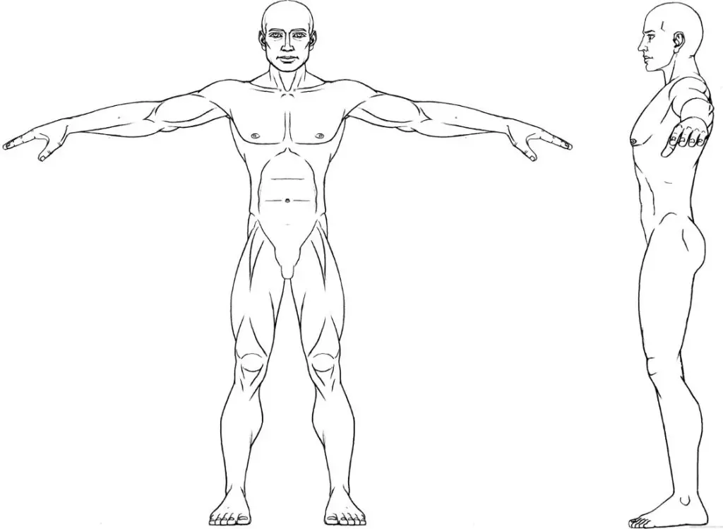 T Pose Reference 4 1024x749