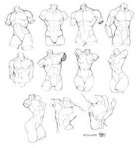 Read more about the article Torso Drawing Reference: Complete Sketch Collection for Artists