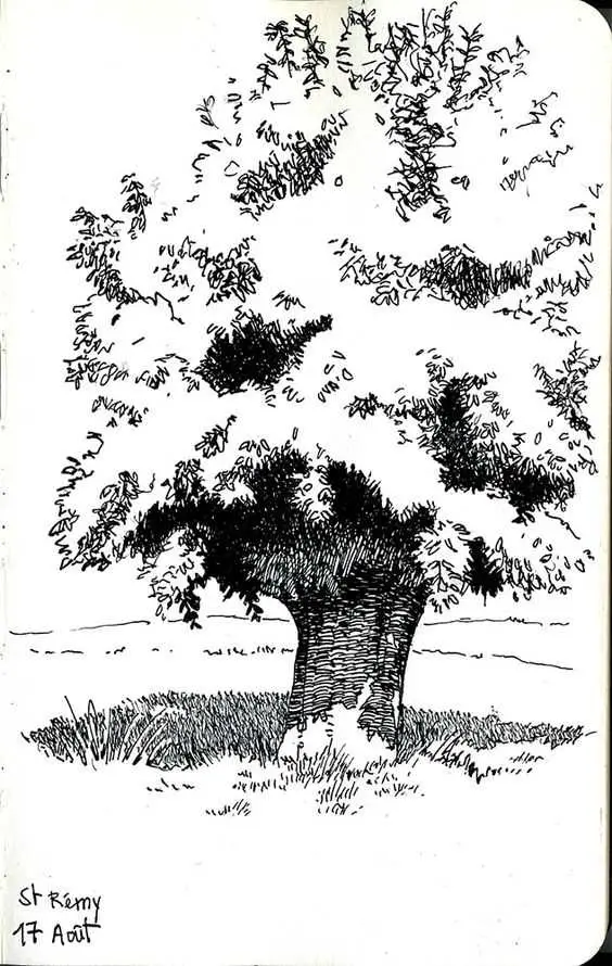 Tree Drawing 35 1