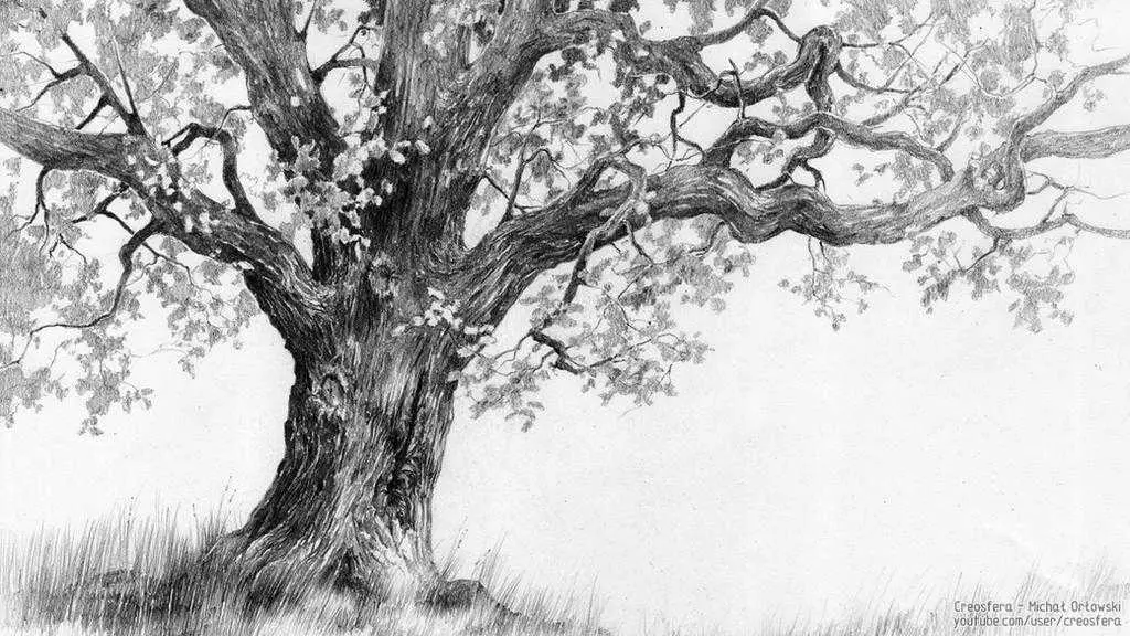 Tree Drawing 36