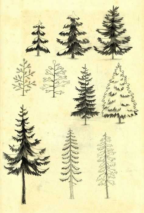Tree Drawing Easy 27
