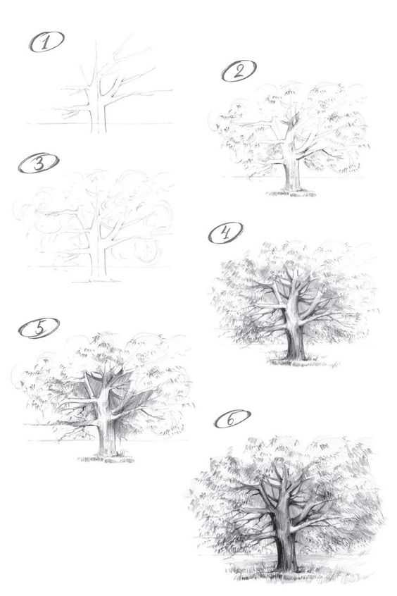 Tree Drawing Easy 28