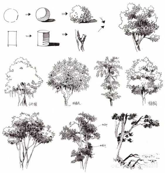 Tree Drawing Easy 30