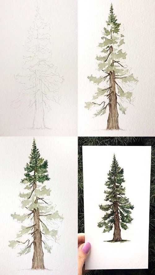 Tree Drawing Easy 31