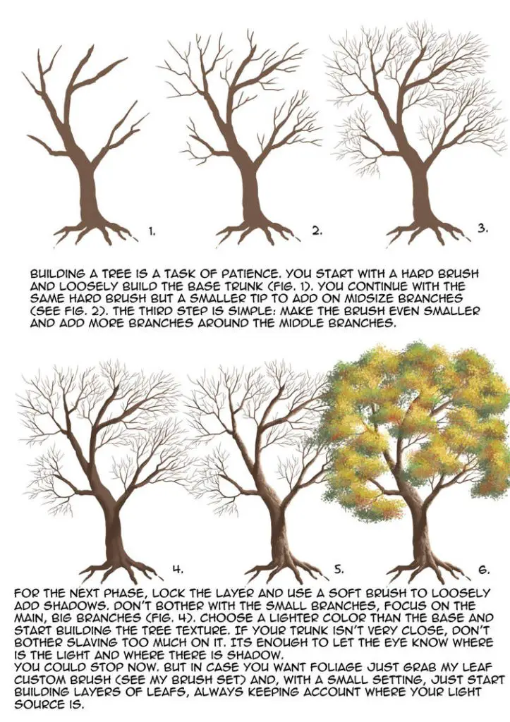 Tree Drawing Realistic 19 723x1024