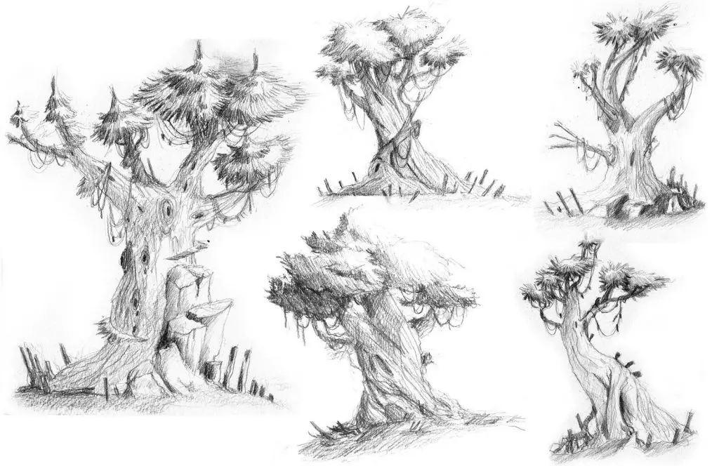 Tree Reference 46 1024x664