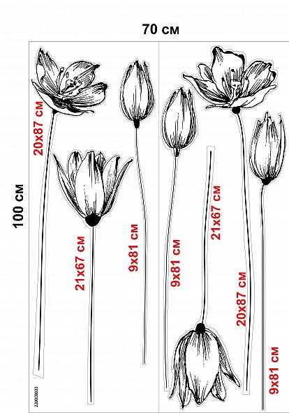 Tulip Flower Drawing 7