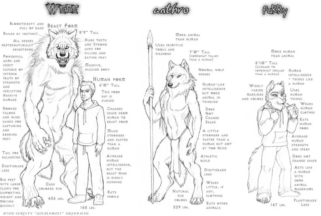 Werewolf Art Reference 2