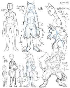Read more about the article Werewolf Drawing Reference: Complete Collection for Artists