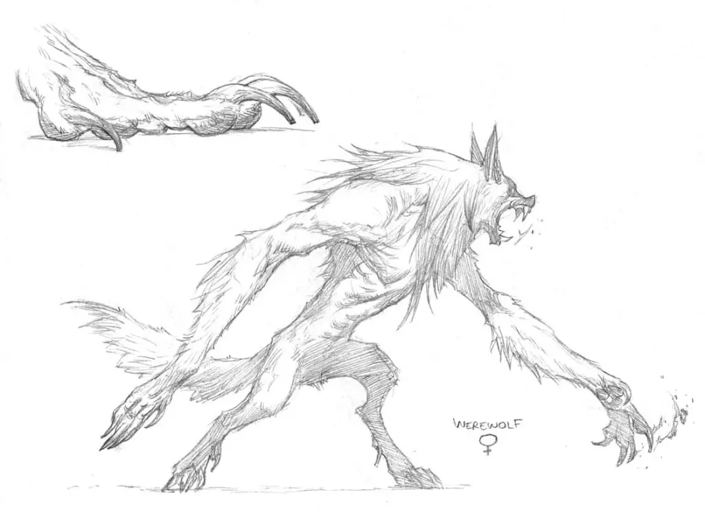 Werewolf Drawing Reference 10