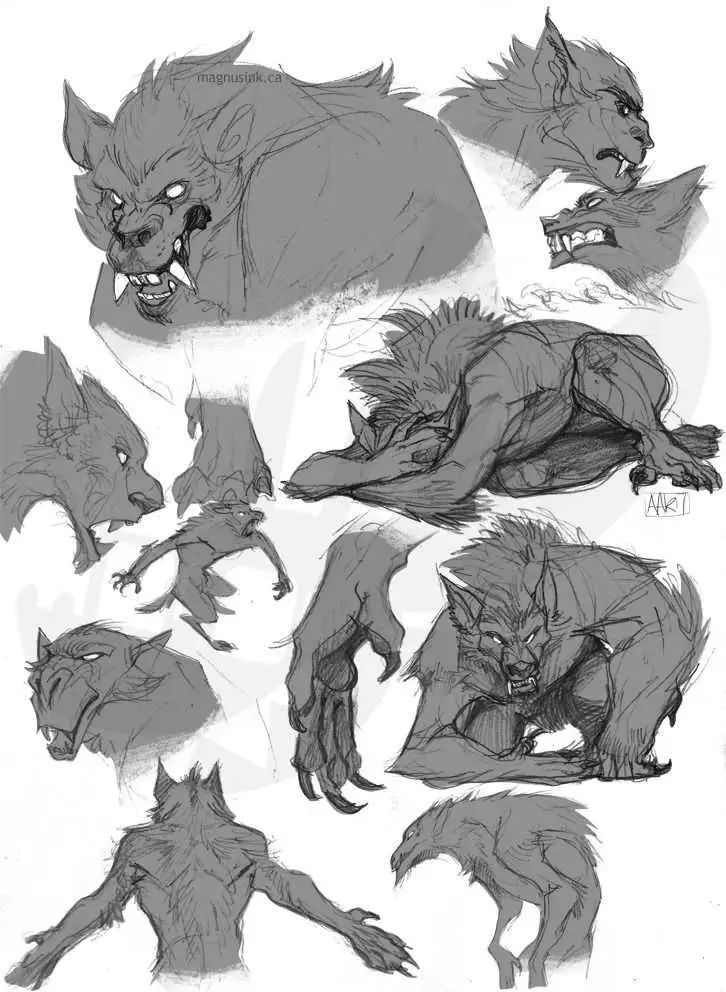 Werewolf Drawing Reference 11