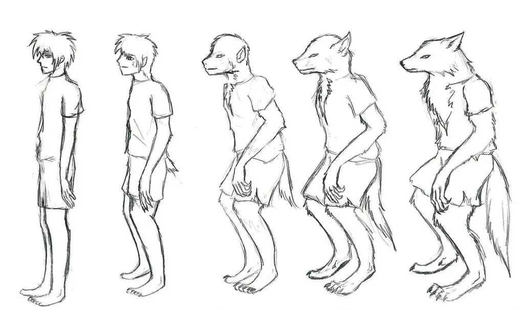 Werewolf Drawing Reference 12