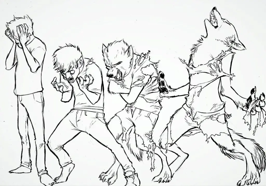 Werewolf Drawing Reference 15