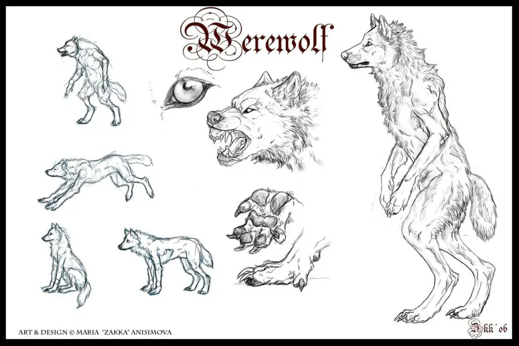 Werewolf Drawing Reference 3