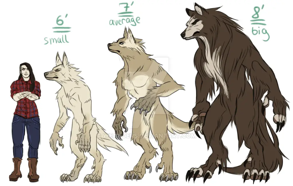 Werewolf Drawing Reference 5