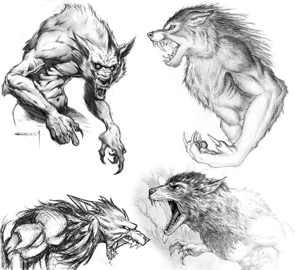Werewolf Drawing Reference 6