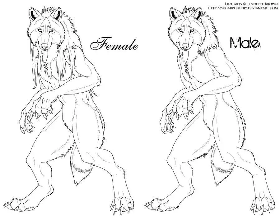 Werewolf Drawing Reference 7