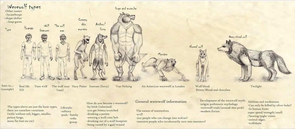 Werewolf Pose Reference 10