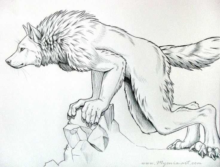Werewolf Pose Reference 2