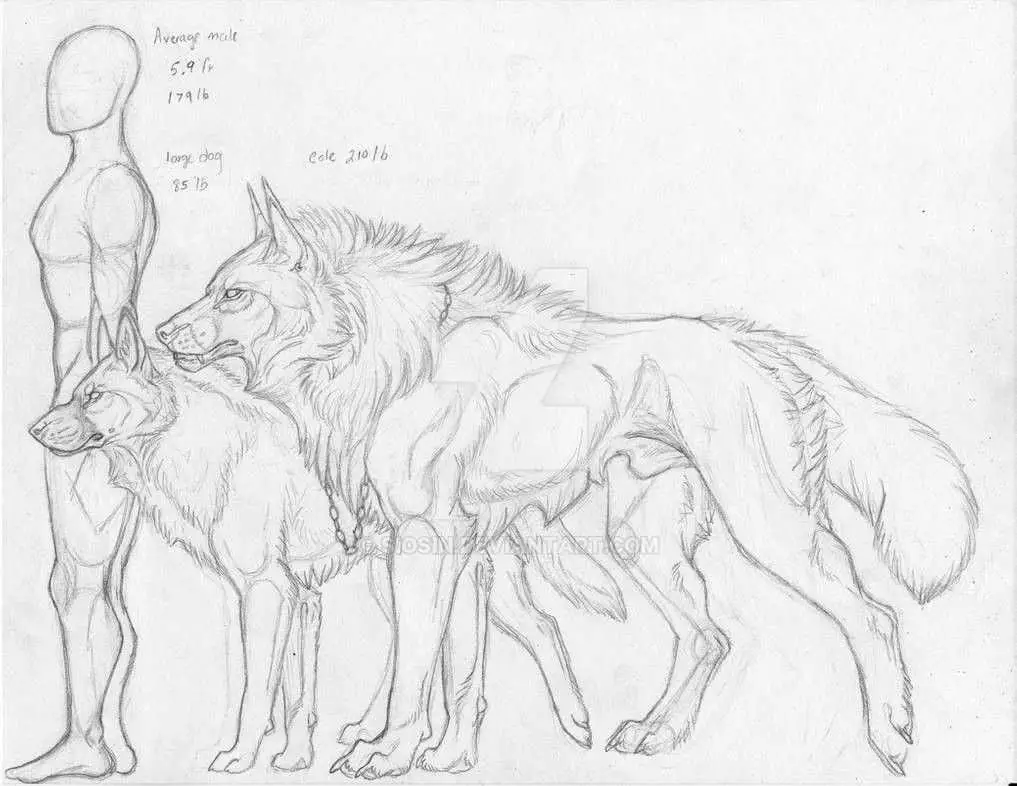 Werewolf Pose Reference 5