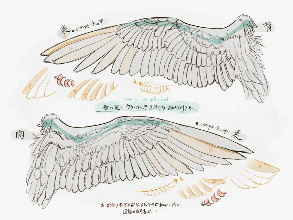 Wings Art Reference 13