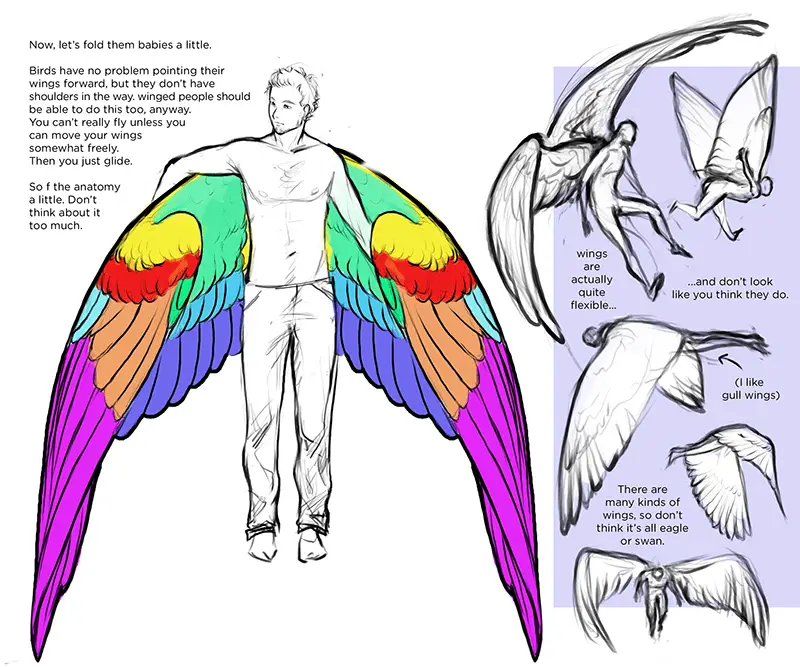 Wings Art Reference 8