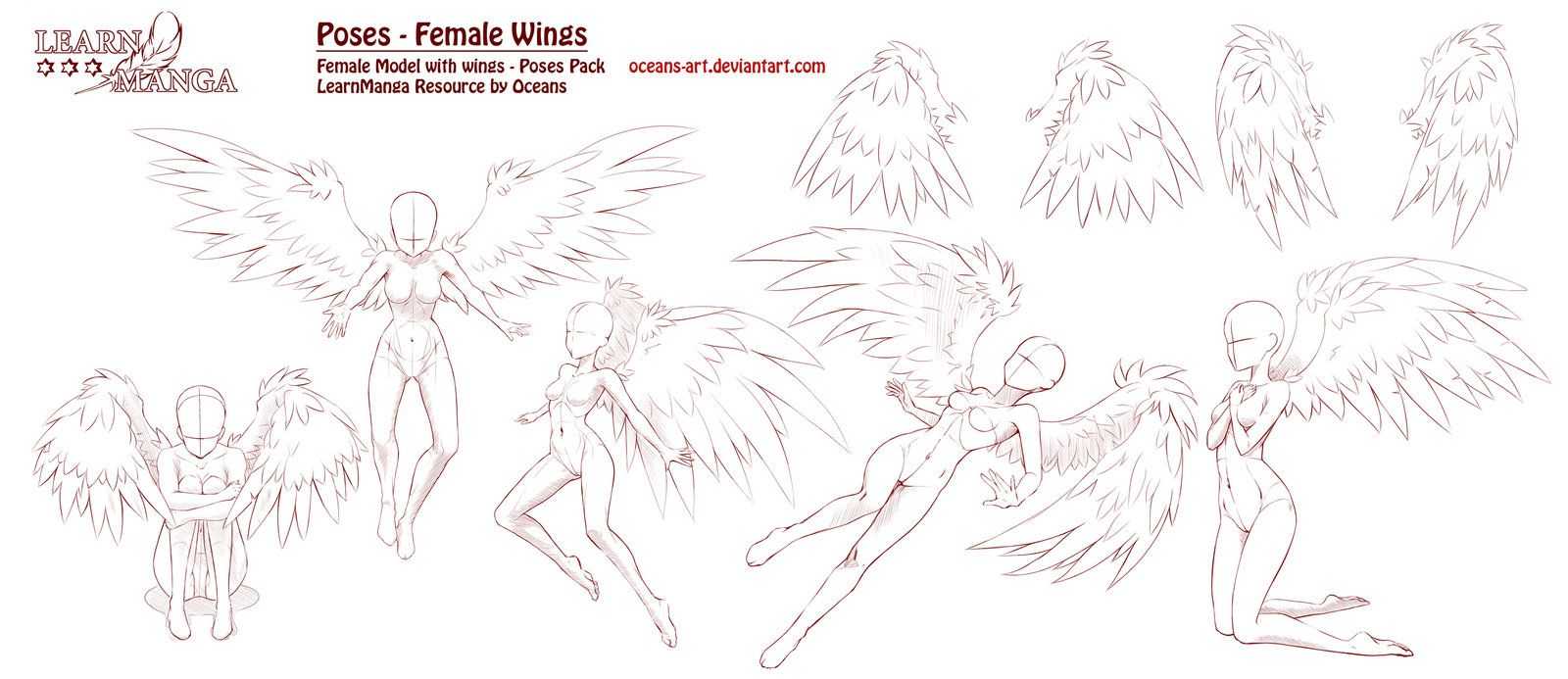 Wings Art Reference 9