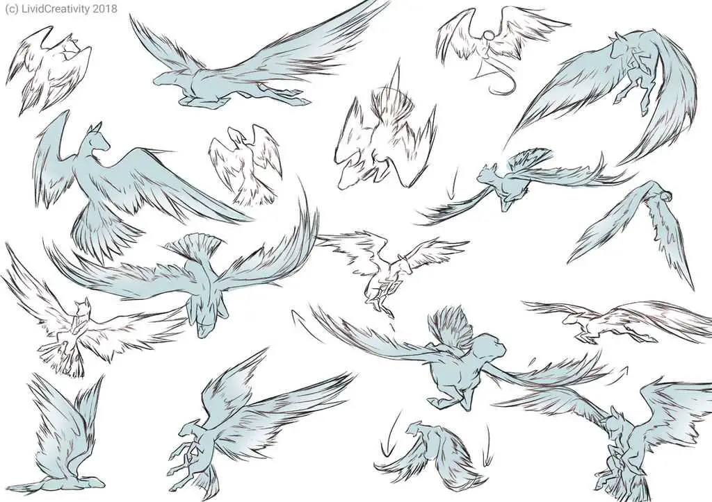Wings Drawing Reference 1