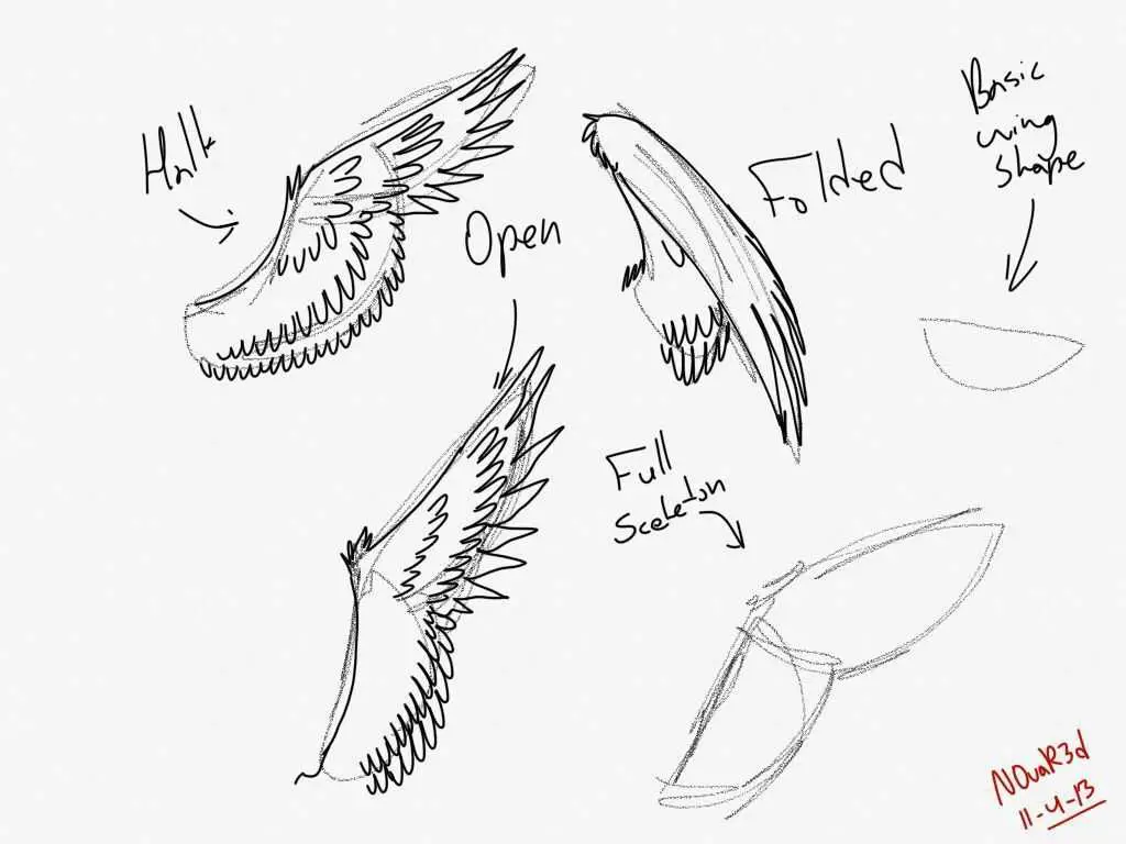 Wings Drawing Reference 10